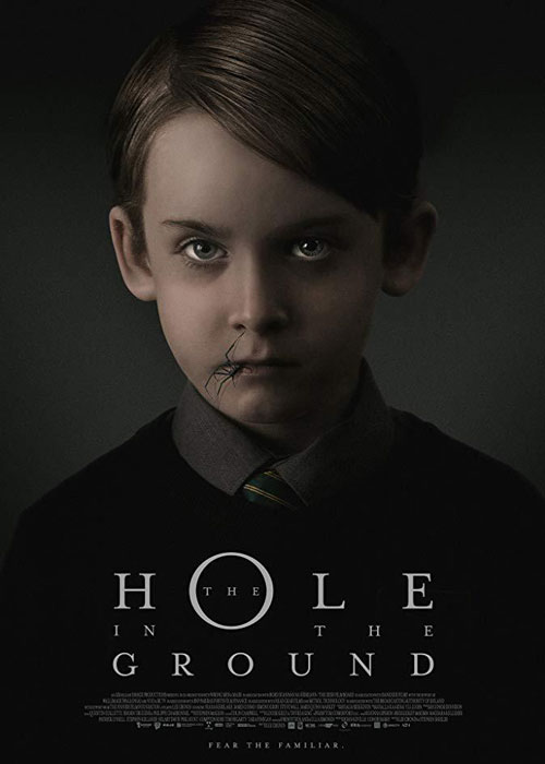 دانلود فیلم The Hole in the Ground 2019