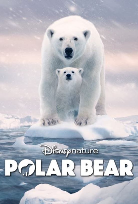 دانلود مستند Polar Bear 2022