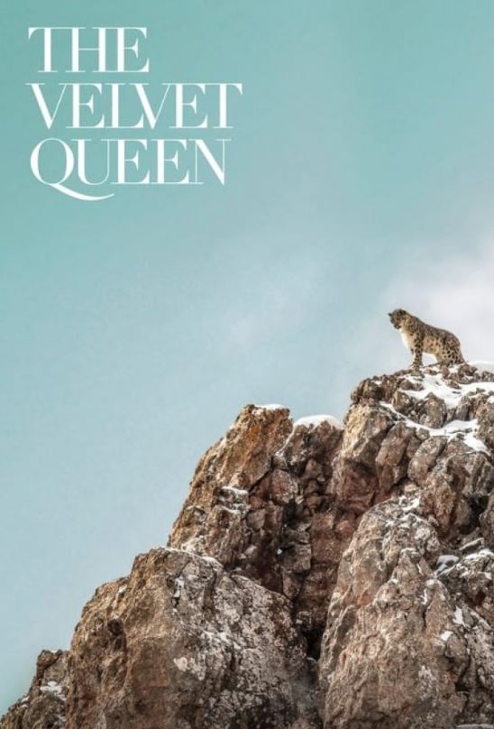 دانلود فیلم The Velvet Queen 2021