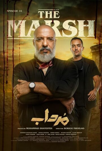 دانلود قسمت 16 سریال مرداب ❤️