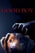 فیلم Good Boy 2025 پسر خوب